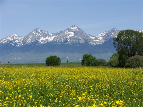 oFk_73394_m.jpg